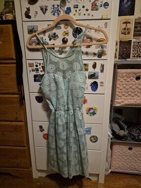 Streetwear Society Mint Green Lace Dress